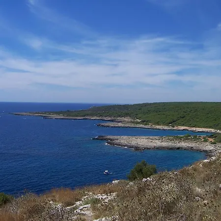 Regina Elena 나르도